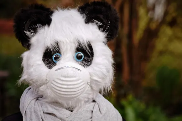 Pronto Kazino Pagalba